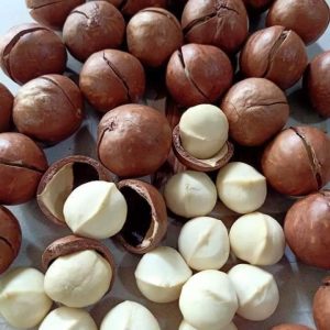 Macadamia Nuts