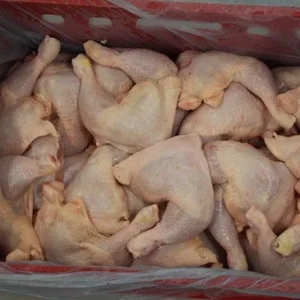 Frozen Chicken Leg Quarters