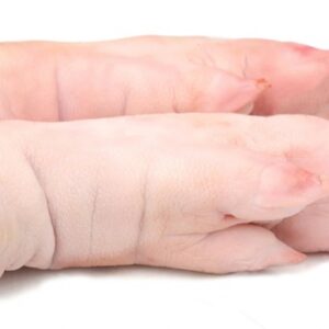 Frozen Pork Feet