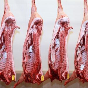 Frozen Pork Half Carcase